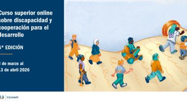 Curso superior online sobre discapacidad y cooperación para el desarrollo - 6ª edición